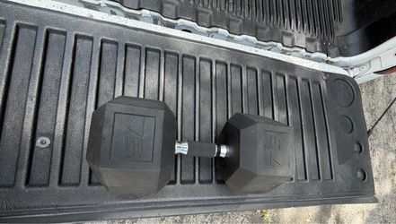 75lb Dumbbell, Single