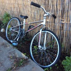 1995 Redline Proline 20 Inch Mini Racing Bike For The Kids Original Chrome Nice Bike Redline Racing Bmx Bike Redline 👍