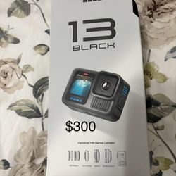 Go Pro 13