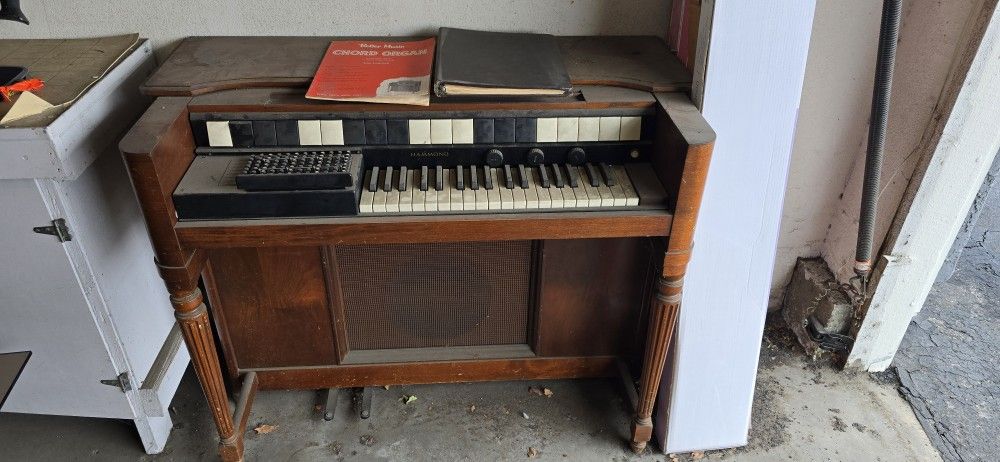 Hammond Chord Organ 
