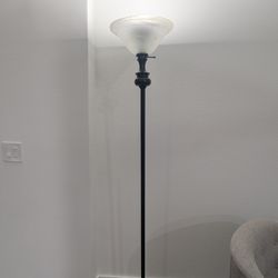 Floor Lamp – Works Great – $30