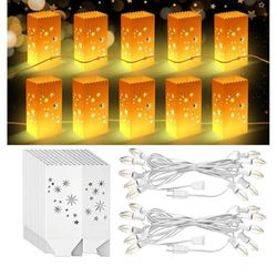 20 Pcs Electric Reusable LED Luminary Bags with 2 String Lights Outdoor Luminary Bags Plug in and Pathway Lighting for Christmas Halloween Thanksgivin
