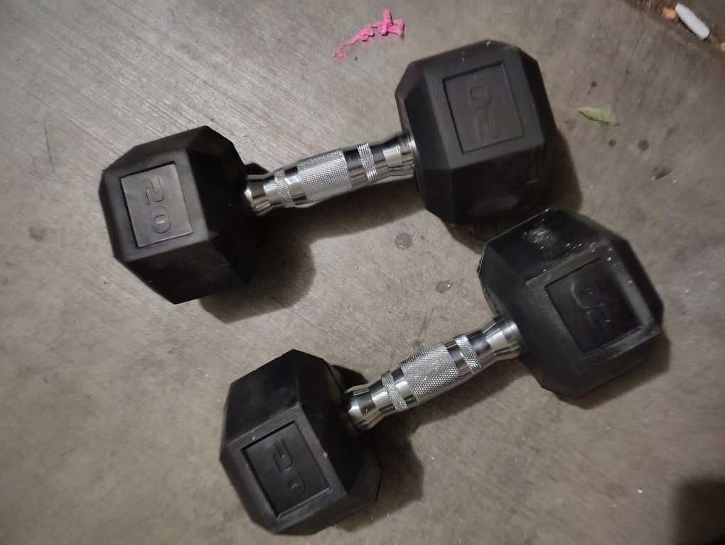 20 Lb Dumbbells