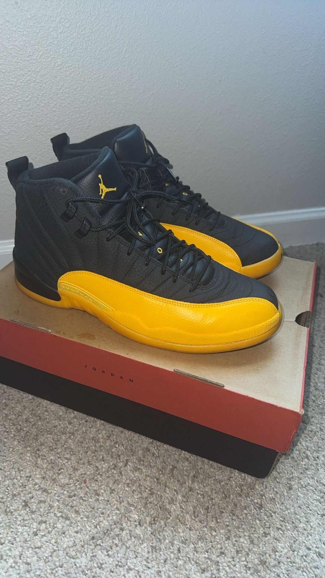 Jordan 12s