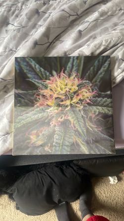 Holographic 3d to hang up