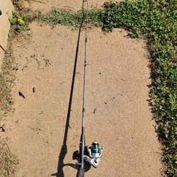 Daiwa Graphite COMP Fishing Pole