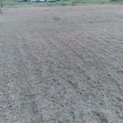 I Cut Yards Diffrent Prices