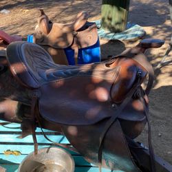 Horse Saddle 250$ 16” 
