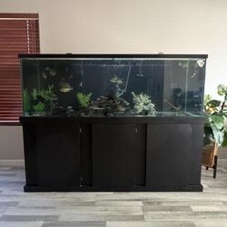 180 Gallons Aquarium ( Top Quality) With Stand 