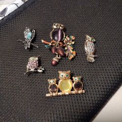 Collection Of Vtg Owl Pins