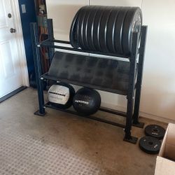 Bumper Plate and Dumbbell storage Rack