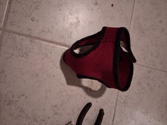 Dog Harnes For Chihuahua. But Needs Cleanes $5