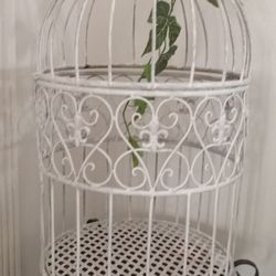 Bird Cage