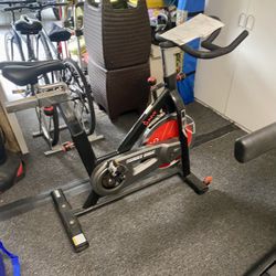 Sunny Spin/Exercise Bike