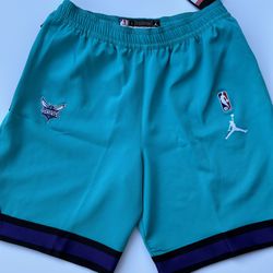 Nike NBA Jordan Charlotte Hornets Player Issued Shorts- Large