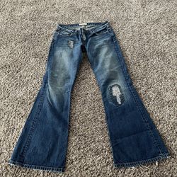 Buckle Jeans 