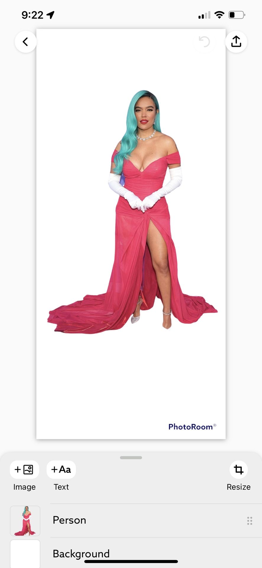Red Dress, Karol G Look alike Dress
