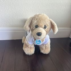 Build A Bear Workshop Promise Pets™ Golden Retriever BAB