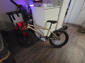 Sunday Forecaster Broc Raiford BMX