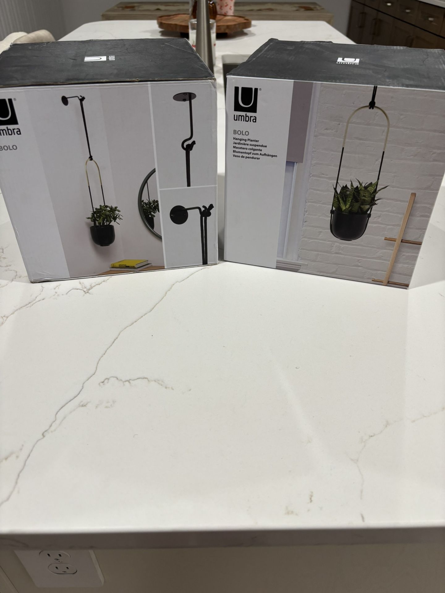 Hanging Planters 