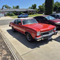 1974 Buick Skylark