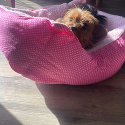 Pets Bed