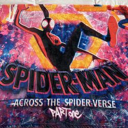 Spiderman across the spider verse throw and miles morales poster