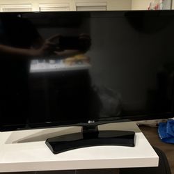 LG Monitor LED 24 inch (originally $110)