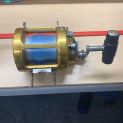 Penn 30sw Two Speed 
