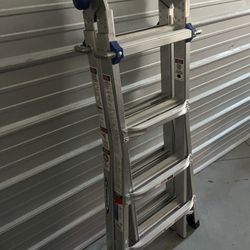 Werner Ladder