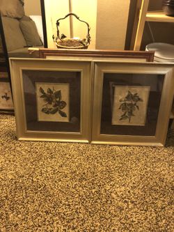 Floral pictures
