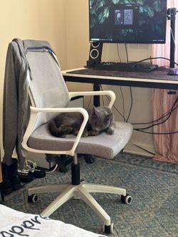 NEO CHAIR Office Computer Chair