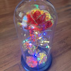 Rose Light Decoration