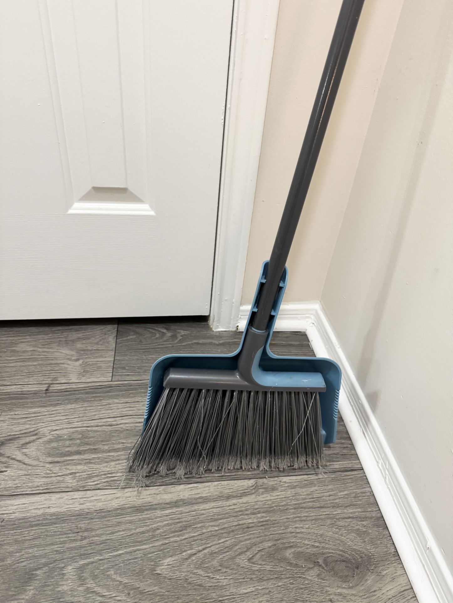 Broom and Dustpan Set