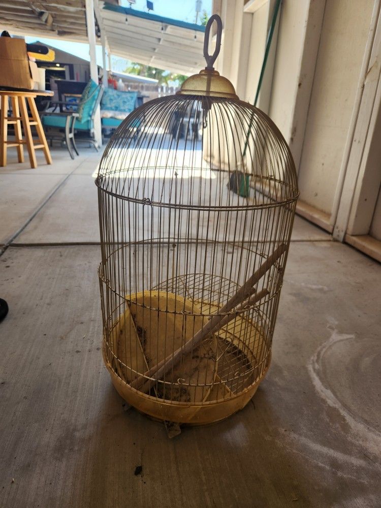 Bye Bye Birdie