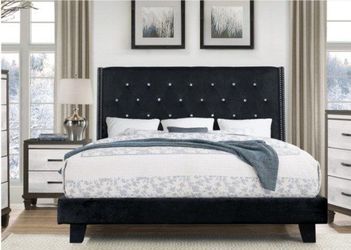 Elegant & Contemporary Rich Velvet upholstered Platform bed /Crystals