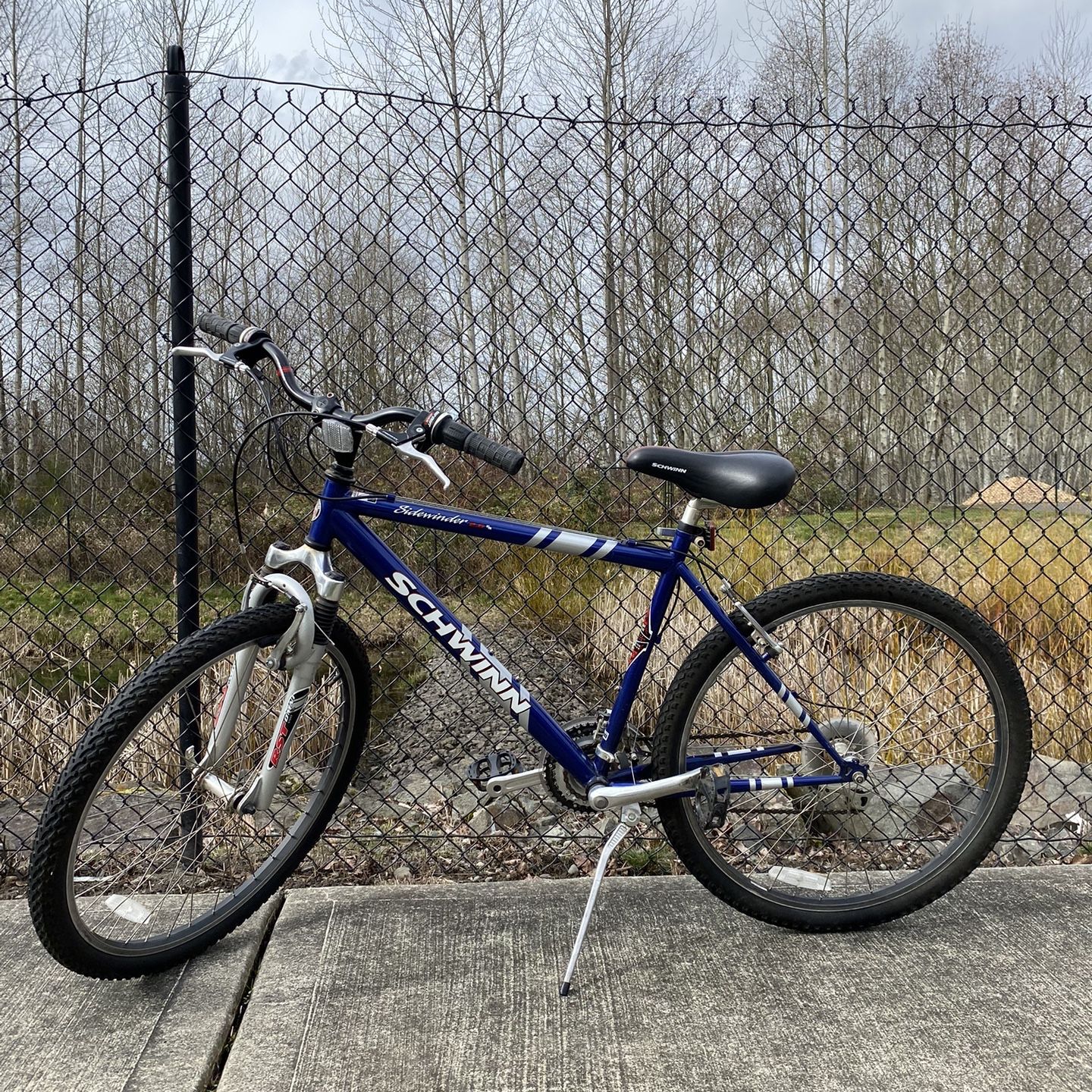 Schwinn sidewinder 2025 2.6 fs