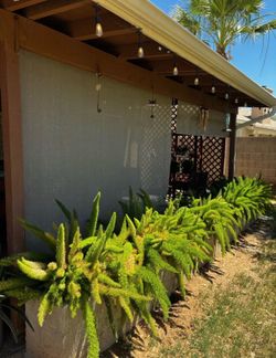 Patio shades