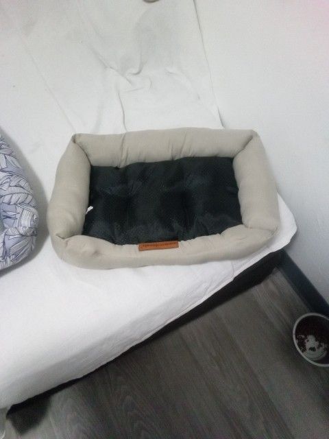 Dog Beds
