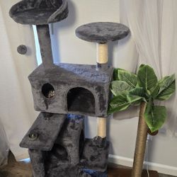 Cat Tower/Tree