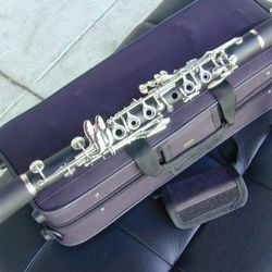 Berkeley Eb Pro 26 key Soprano Clarinet w/unique design