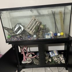 Large Fish Tank With Stand & Supplies