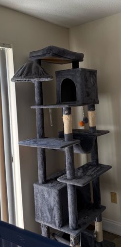 Cat Tree 81’—Already Built