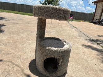 Cat Tower