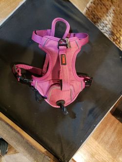 Harness,(kong)small