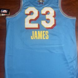 Lebron James NBA Allstar Jersey 2025