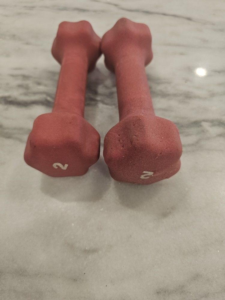 2lb Weights Pair