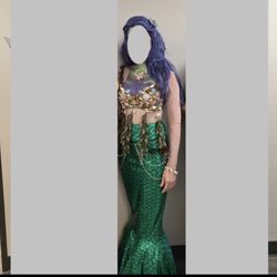 Mermaid costume halloween - please read details for specifics and sizes