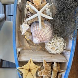 Selection Of Sea Shells