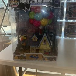 Kevin With Up House 